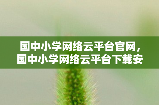 国中小学网络云平台官网，国中小学网络云平台下载安装指南