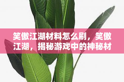 笑傲江湖材料怎么刷，笑傲江湖，揭秘游戏中的神秘材料