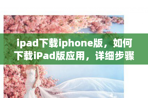 ipad下载iphone版，如何下载iPad版应用，详细步骤与注意事项