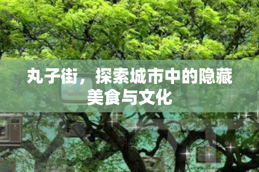 丸子街，探索城市中的隐藏美食与文化