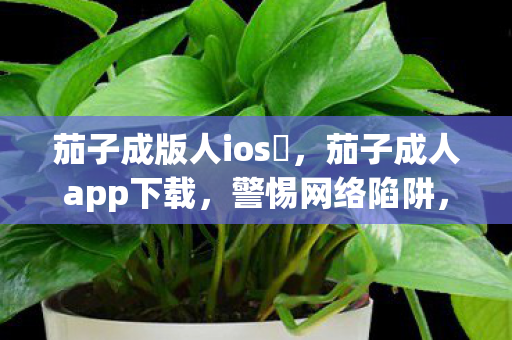 茄子成版人ios ，茄子成人app下载，警惕网络陷阱，保护个人隐私
