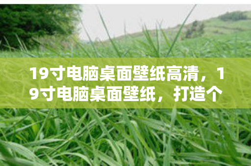 19寸电脑桌面壁纸高清，19寸电脑桌面壁纸，打造个性化视觉体验