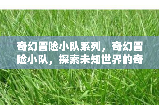 奇幻冒险小队系列，奇幻冒险小队，探索未知世界的奇妙旅程