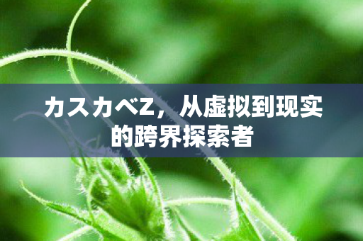 カスカべZ，从虚拟到现实的跨界探索者