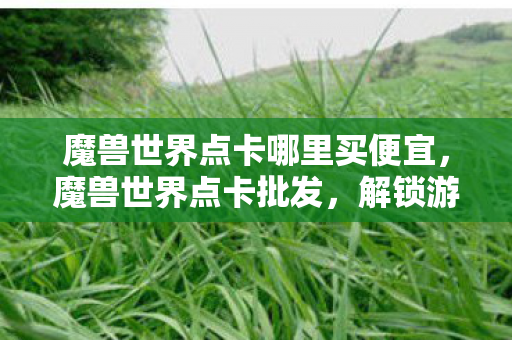 魔兽世界点卡哪里买便宜,魔兽世界点卡批发,解锁游戏世界的钥匙 魔兽世界点卡哪里买便宜,魔兽世界点卡批发,解锁游戏世界的钥匙