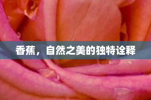 香蕉，自然之美的独特诠释