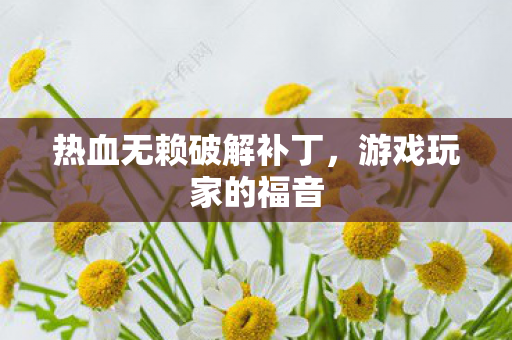 热血无赖破解补丁，游戏玩家的福音