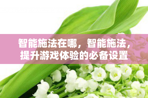 智能施法在哪，智能施法，提升游戏体验的必备设置