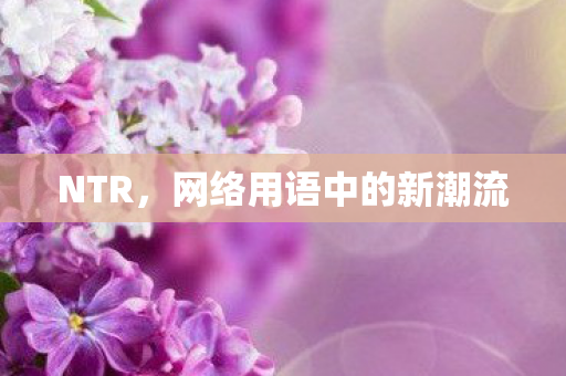 NTR，网络用语中的新潮流