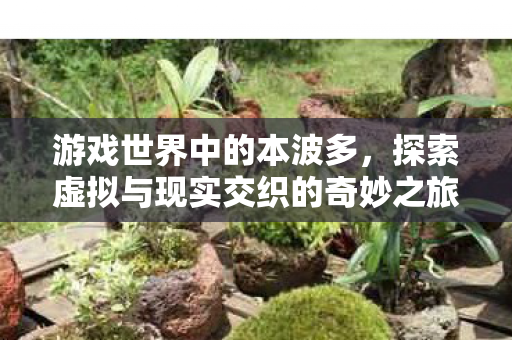 游戏世界中的本波多，探索虚拟与现实交织的奇妙之旅