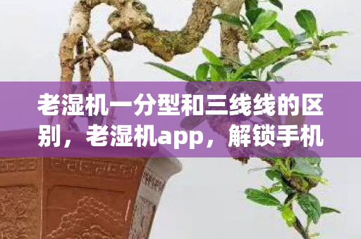 老湿机一分型和三线线的区别,老湿机app,解锁手机摄影的无限可能 老湿机一分型和三线线的区别,老湿机app,解锁手机摄影的无限可能
