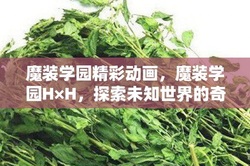 魔装学园精彩动画，魔装学园H×H，探索未知世界的奇幻之旅