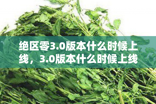 绝区零3.0版本什么时候上线,3.0版本什么时候上线,揭秘游戏更新的奥秘 绝区零3.0版本什么时候上线,3.0版本什么时候上线,揭秘游戏更新的奥秘