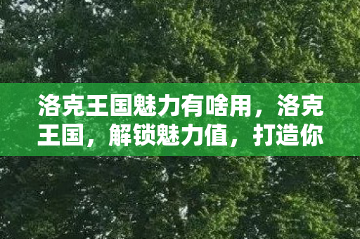 洛克王国魅力有啥用,洛克王国,解锁魅力值,打造你的专属魅力 洛克王国魅力有啥用,洛克王国,解锁魅力值,打造你的专属魅力