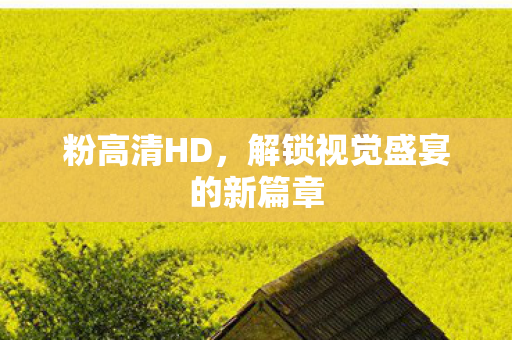 粉高清HD，解锁视觉盛宴的新篇章