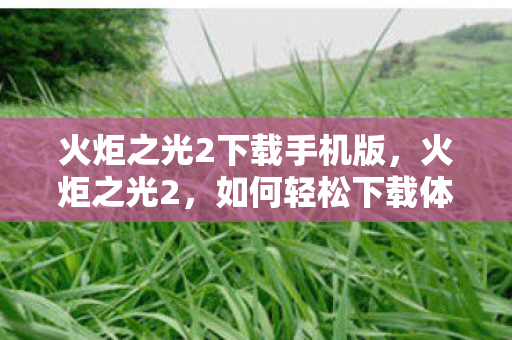 火炬之光2下载手机版，火炬之光2，如何轻松下载体验游戏魅力？
