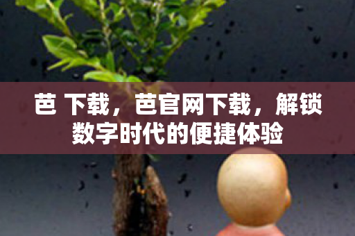 芭 下载，芭官网下载，解锁数字时代的便捷体验