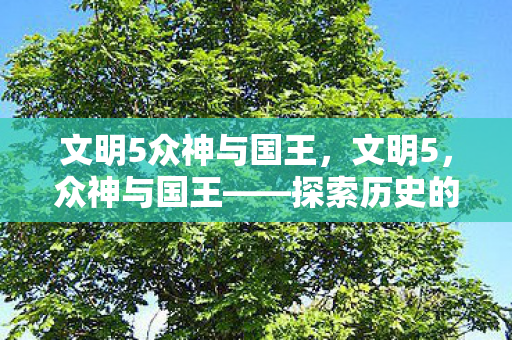 文明5众神与国王,文明5,众神与国王——探索历史的深度与广度 文明5众神与国王,文明5,众神与国王——探索历史的深度与广度