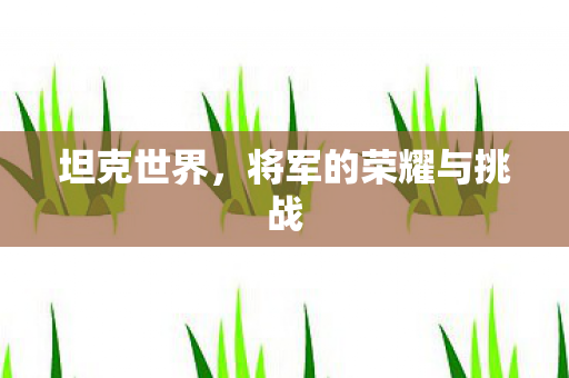 坦克世界，将军的荣耀与挑战