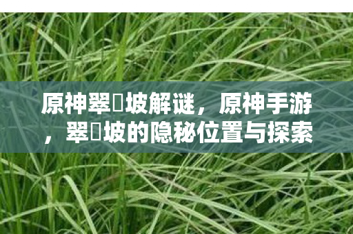 原神翠玦坡解谜，原神手游，翠玦坡的隐秘位置与探索指南