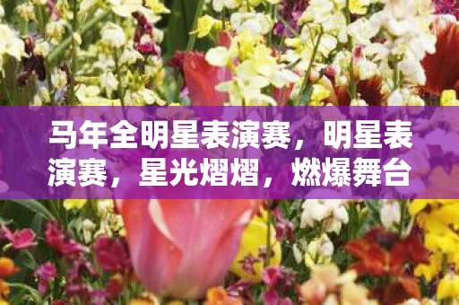 马年全明星表演赛，明星表演赛，星光熠熠，燃爆舞台