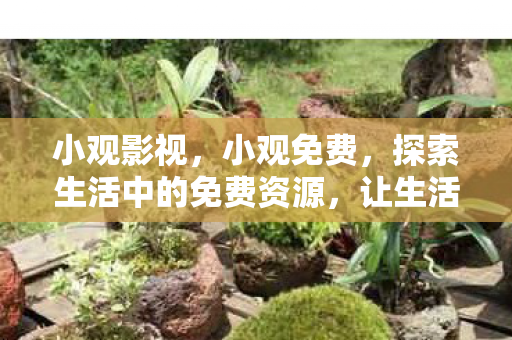 小观影视，小观免费，探索生活中的免费资源，让生活更美好