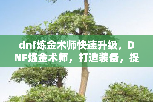 dnf炼金术师快速升级，DNF炼金术师，打造装备，提升战斗力的神秘职业