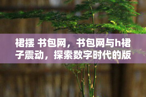 裙摆 书包网,书包网与h裙子震动,探索数字时代的版权保护与隐私边界 裙摆 书包网,书包网与h裙子震动,探索数字时代的版权保护与隐私边界