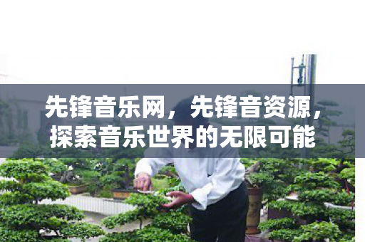 先锋音乐网,先锋音资源,探索音乐世界的无限可能 先锋音乐网,先锋音资源,探索音乐世界的无限可能