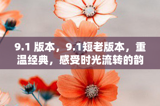 9.1 版本，9.1短老版本，重温经典，感受时光流转的韵味