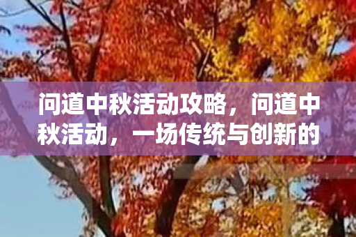 问道中秋活动攻略，问道中秋活动，一场传统与创新的融合盛宴