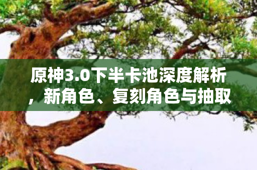 原神3.0下半卡池深度解析,新角色、复刻角色与抽取建议 原神3.0下半卡池深度解析,新角色、复刻角色与抽取建议