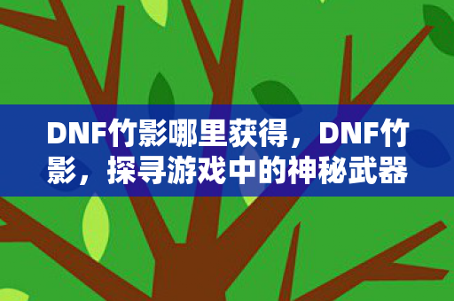 DNF竹影哪里获得，DNF竹影，探寻游戏中的神秘武器