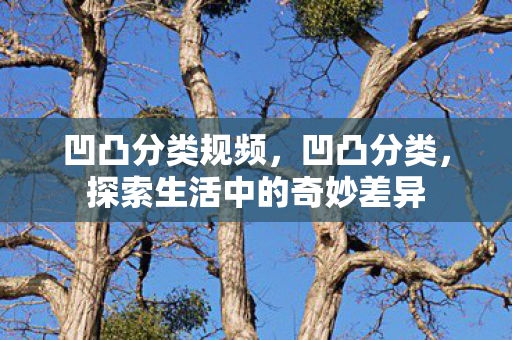 凹凸分类规频，凹凸分类，探索生活中的奇妙差异