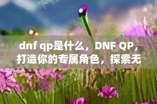 dnf qp是什么，DNF QP，打造你的专属角色，探索无限可能