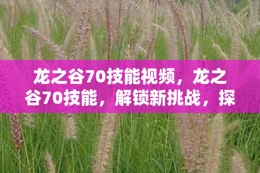 龙之谷70技能视频，龙之谷70技能，解锁新挑战，探索无限可能