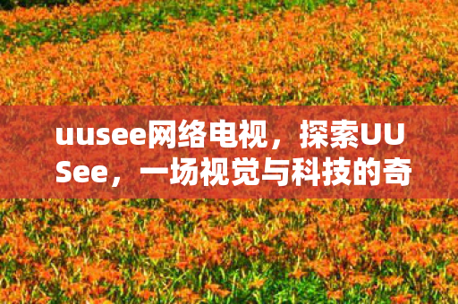 uusee网络电视,探索UU See,一场视觉与科技的奇妙邂逅 uusee网络电视,探索UU See,一场视觉与科技的奇妙邂逅