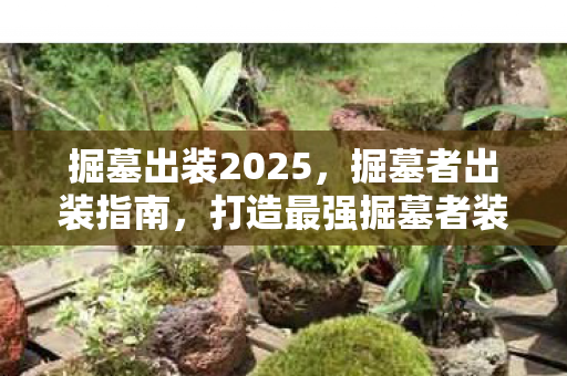 掘墓出装2025，掘墓者出装指南，打造最强掘墓者装备搭配