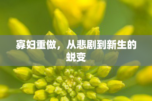寡妇重做，从悲剧到新生的蜕变