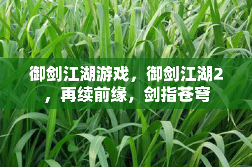 御剑江湖游戏,御剑江湖2,再续前缘,剑指苍穹 御剑江湖游戏,御剑江湖2,再续前缘,剑指苍穹