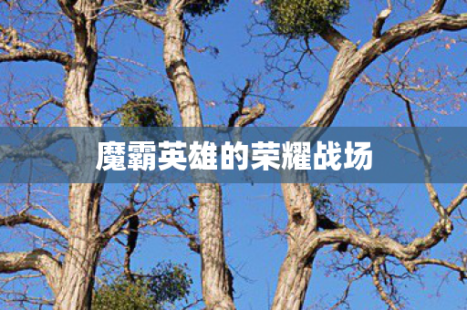 魔霸英雄的荣耀战场