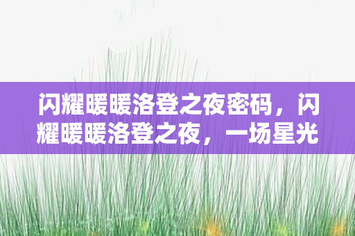 闪耀暖暖洛登之夜密码，闪耀暖暖洛登之夜，一场星光璀璨的时尚盛宴