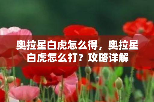 奥拉星白虎怎么得,奥拉星白虎怎么打?攻略详解 奥拉星白虎怎么得,奥拉星白虎怎么打?攻略详解