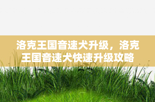 洛克王国音速犬升级,洛克王国音速犬快速升级攻略 洛克王国音速犬升级,洛克王国音速犬快速升级攻略