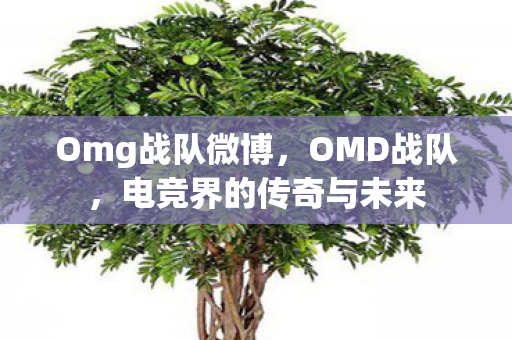 Omg战队微博,OMD战队,电竞界的传奇与未来 Omg战队微博,OMD战队,电竞界的传奇与未来