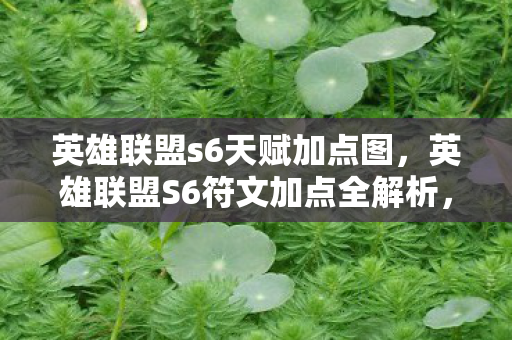 英雄联盟s6天赋加点图,英雄联盟S6符文加点全解析,打造你的专属英雄之路 英雄联盟s6天赋加点图,英雄联盟S6符文加点全解析,打造你的专属英雄之路