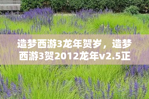 造梦西游3龙年贺岁,造梦西游3贺2012龙年v2.5正式版下载,重温经典,再续传奇 造梦西游3龙年贺岁,造梦西游3贺2012龙年v2.5正式版下载,重温经典,再续传奇