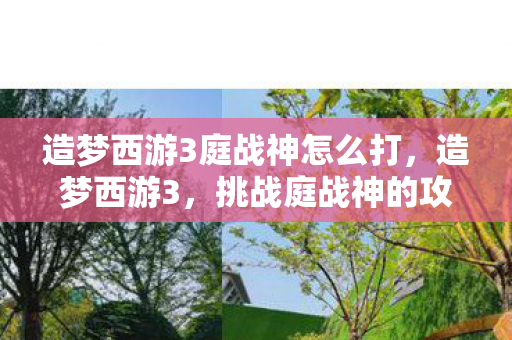 造梦西游3庭战神怎么打，造梦西游3，挑战庭战神的攻略指南