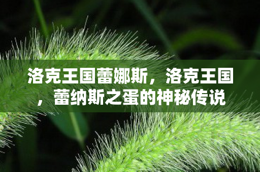 洛克王国蕾娜斯，洛克王国，蕾纳斯之蛋的神秘传说