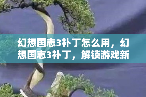 幻想国志3补丁怎么用，幻想国志3补丁，解锁游戏新世界的钥匙